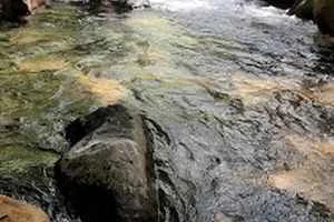 Image of: Kannimar Thoppu Tourist Spot in Panakudi Tamil Nadu