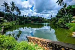 Image of: Palliyadi Swimming Pool in Nattalam Tamil Nadu