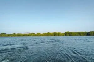 Image of: Veerabagupathi Beach in Puthalam Tamil Nadu