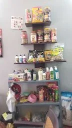 Image of: Giant and Mild Pet Shop in Valliyur Tamil Nadu