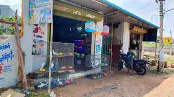 Image of: Krisel Pets World Pet Store in Chettikulam