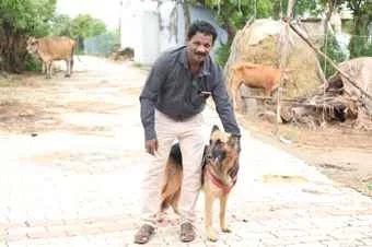 Image of: SG DogSpot Pet Store in Elathur Natarajapuram