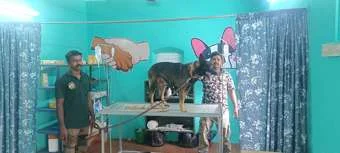 Image of: Bala Pet Clinic in Sivanthipuram, Tamil Nadu