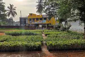 Image of: Isha Nursery Home and Garden in Melagaram