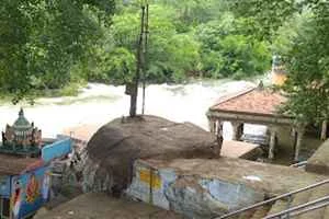 Image of: Thillai Lodge Mundanthurai Tiger Reserve