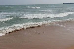 Image of: Vijayapathi Beach Thillai Vanan Thoppu Tamil Nadu