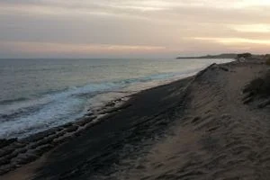 Image of: Thomaiyarpuram Beach Muddukuli Tamil Nadu