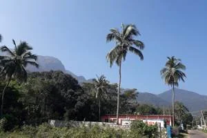 Image of: Chitraruvi Waterfall Courtallam Tamil Nadu