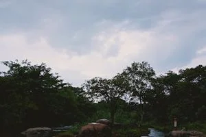 Image of: Ayya Kovil River Bathing Spot Papanasam Tamil Nadu