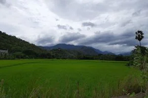 Image of: Thalaiyanai Dam Papanasam Tamil Nadu