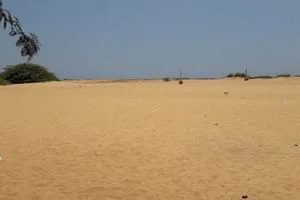 Image of: Kodavilai Beach Karaichuthuvari Tamil Nadu