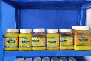 Image of: Kpn Parcel & Travels Eruvadi  Travel Agents