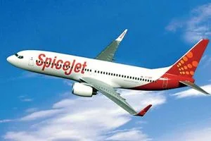 Image of: Flight Ticket Booking In Tirunelveli  Travel Agents