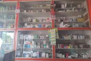 Image of: Devi Medical Pharmacy in Alangulam Tirunelveli