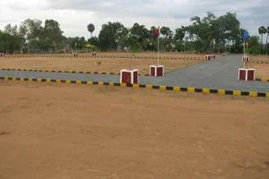 Image of: Umar Garden in  Vadakku Ariyanayakipuram Tirunelveli