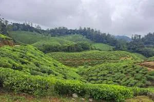 Image of: Manjolai Estate Real Estate Consultancy Singampatti