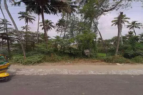 Image of: A1 Biryani Center - Authentic and Flavorful Biryani Near You