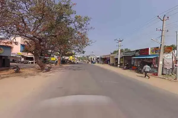 Image of: AA Broilers - Premium Chicken and Poultry Products for Sale