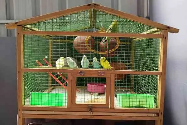 Image of: AAA Aquarium and Pets - Exotic Fish and Pet Supplies for Animal Lovers