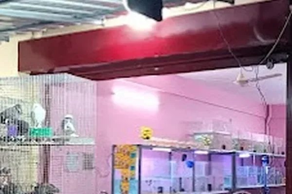 Image of: A.J Poultry Forms & Petshop Thyyalumoodu - Poultry & Pet Products