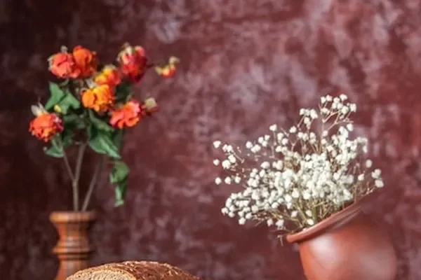 Image of: Alisha Bakery - Fresh Baked Goods and Treats Near You