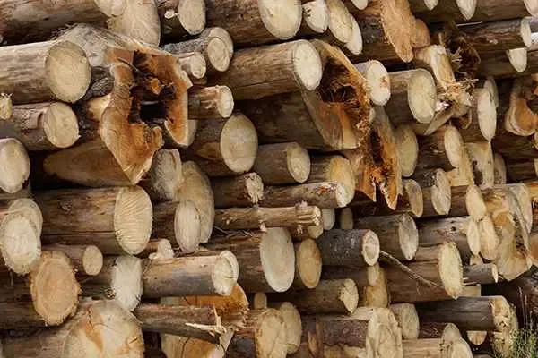 Image of: AMUTHA TIMBER DEPOT ( Doors , Windows are available)
