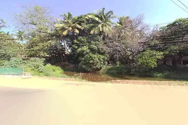 Image of: AVM Clinic - Specialized Healthcare in Nagercoil