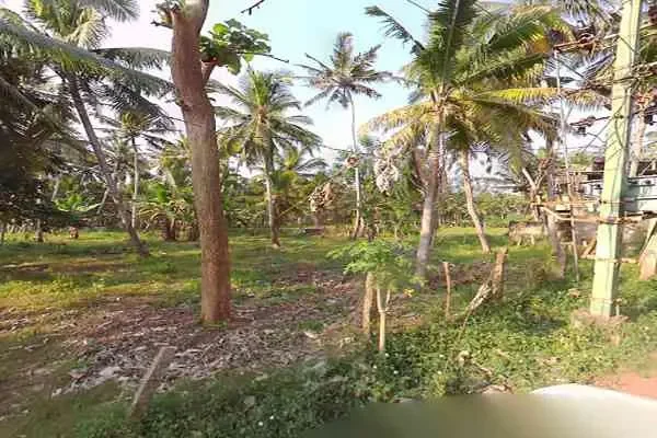 Image of: Adachuvilakom Jn - Convenient Location for Your Travel Needs