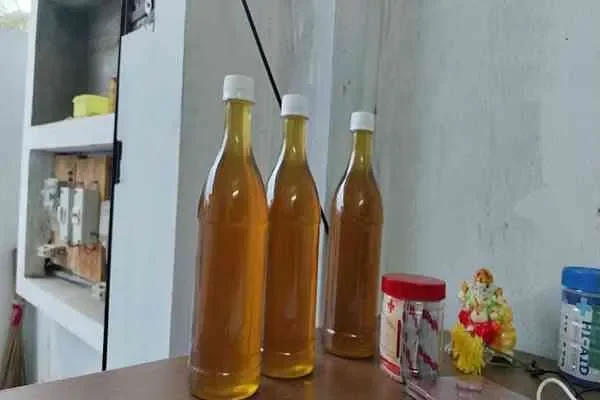 Image of: AkOnlineServices & E-Seva Centre - Convenient Online Services and E-Platform Assistance