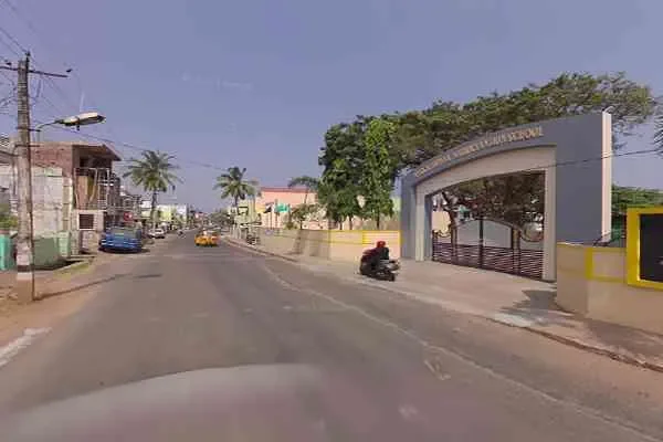 Image of: Alfa Broilers - Premium Poultry Products and Fresh Chicken for Your Kitchen