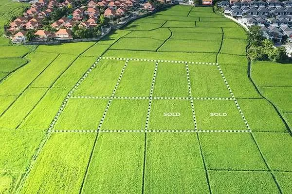 Image of: Anit Promoters