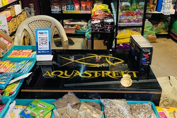 Image of: Aqua street Thiruvithankodu - Aquarium & Pet Supplies
