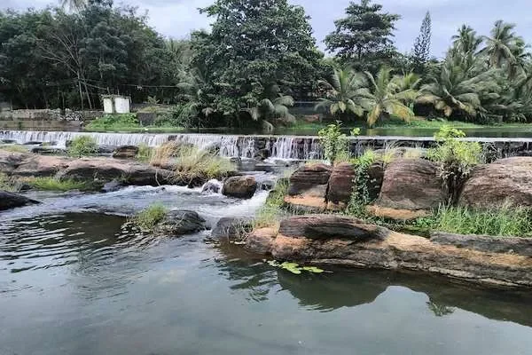 Image of: Aruvikkarai Water Falls - A Hidden Gem in Nature