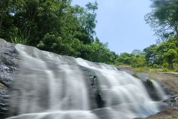 Image of: Avocado Waterfalls - Discover Natures Hidden Gem