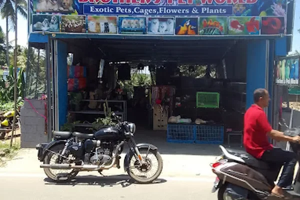 Image of: BROTHERS PET WORLD Mathoor - Pet Products & Accessories
