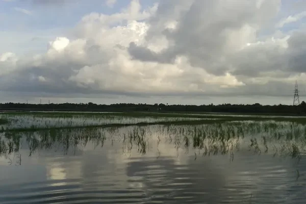 Image of: Badrakaliamman Kovil Theroor - Worship of Goddess Kali