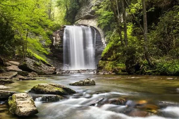 Image of: Bhatralikuzhi Waterfalls - Hidden Gem in Natures Lap