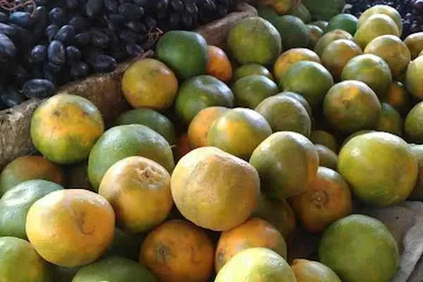 Image of: Bose Fruits & Juice - Fresh Juices & Healthy Snacks