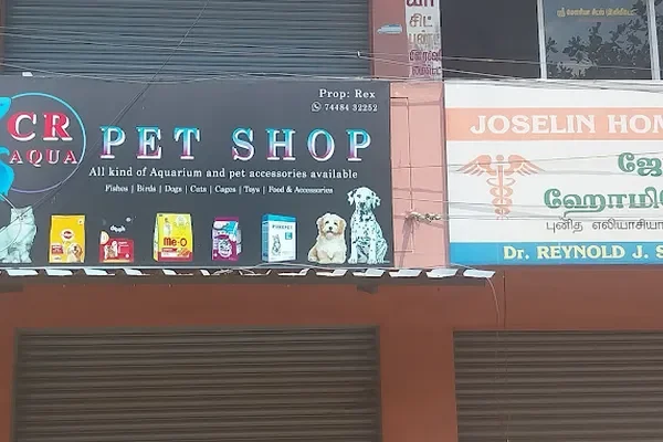 Image of: CR Aqua Pet Shop Thuckalay - Aquarium & Aquatic Pets