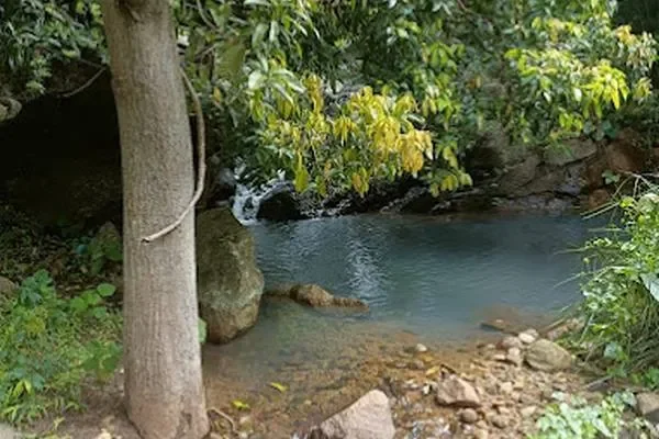 Image of: Chempaka Hills Luxury Living in Natures Embrace