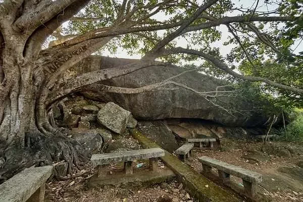 Image of: Chitharal Rock Jain Temple Malaikovil Guide