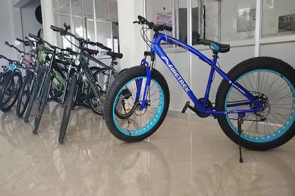 Image of: Cycle World Anjugramam - Largest Multi Brand Bicycle Store