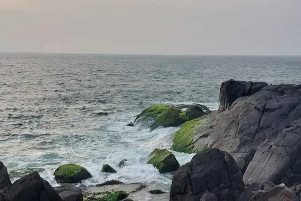 Image of: Dakshina Tours and Travels| Green wheelz e-bike rental