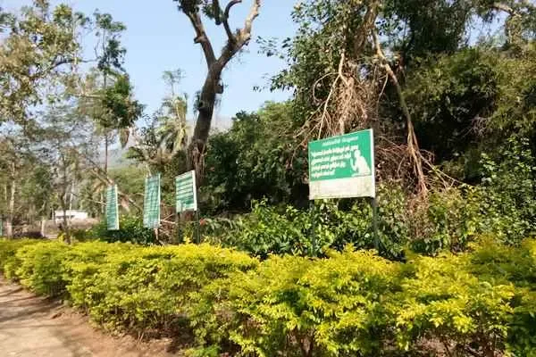 Image of: Discover Deer Park - Nature, Activities, and More