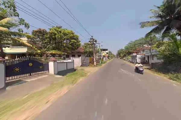 Image of: Devasangeevani Parambarya Visha Vaidya Salai - Expert Traditional Healing Services