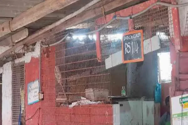 Image of: Dias Chicken - Fresh Chicken and Quality Cuts