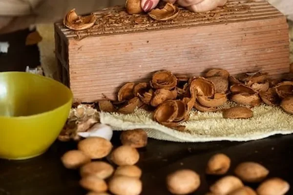 Image of: Divine Essence Dry Fruits Bakery Nuts Wholesale Anjugramam