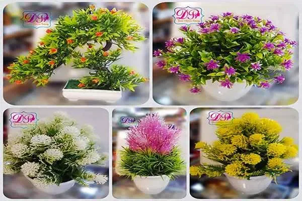 Image of: Dreamzz Palace