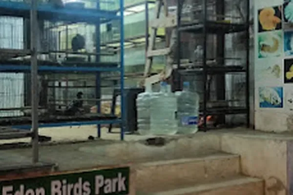 Image of: Eden Birds Park Thittuvilai - Bird Sanctuary