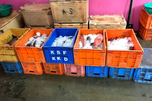 Image of: Fish Market Verkilambi - Fresh Fish & Seafood